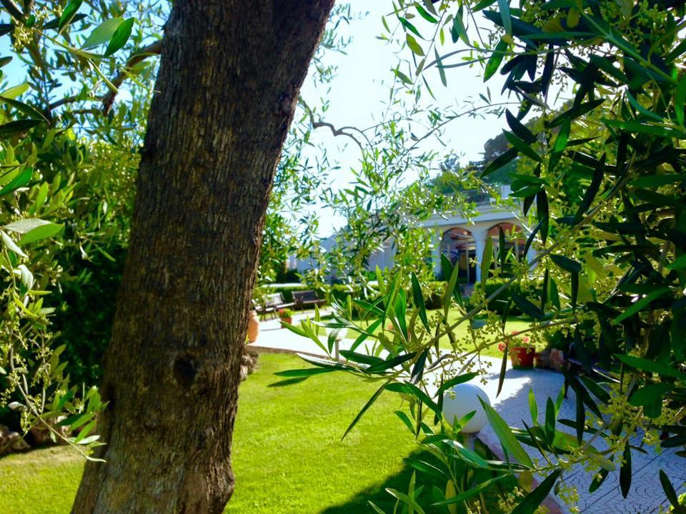 Hotel D'Altavilla Canosa di Puglia Eksteriør billede