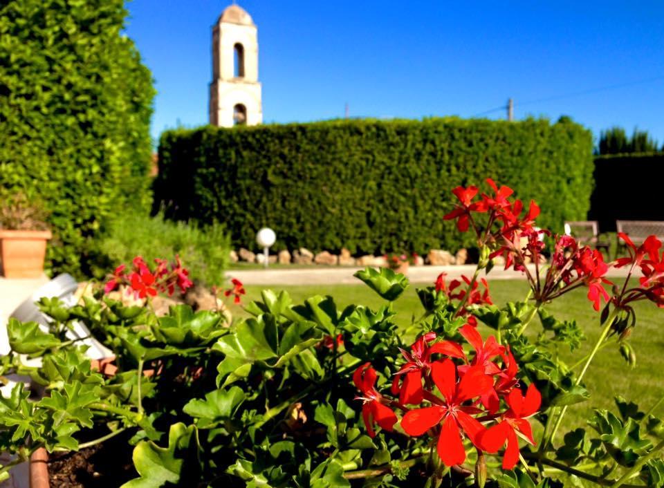 Hotel D'Altavilla Canosa di Puglia Eksteriør billede